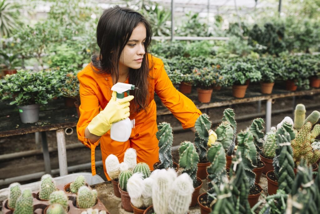 how to start a vegetable garden indoors