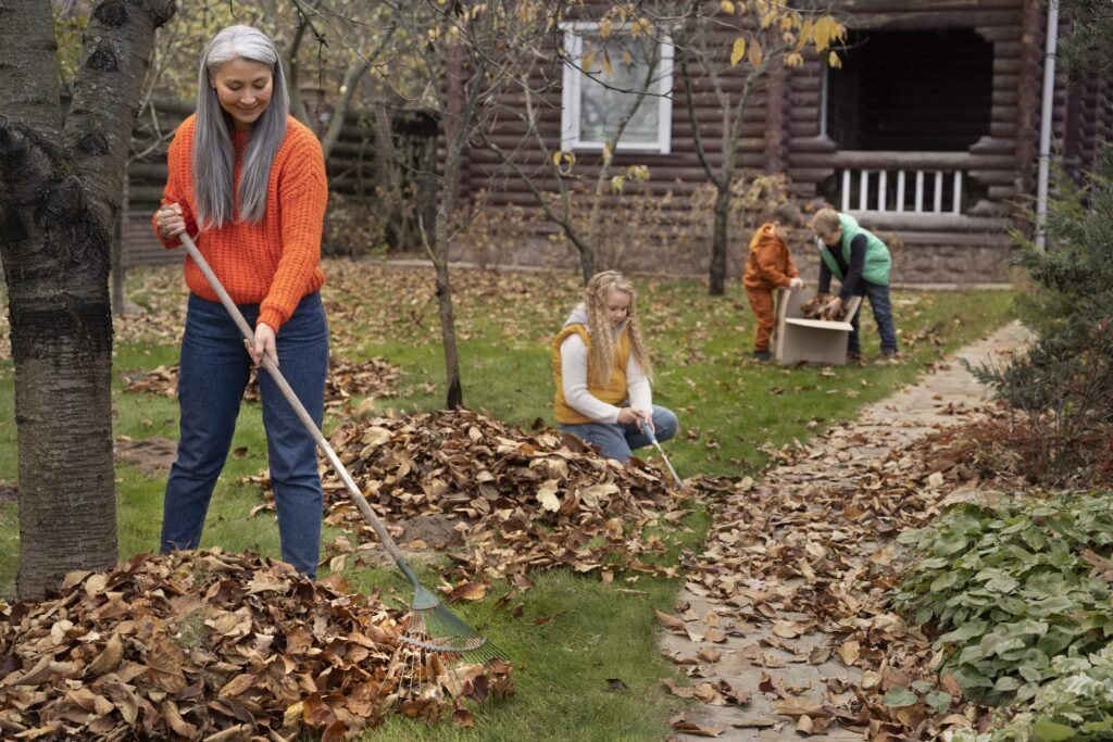 spring lawn care tips