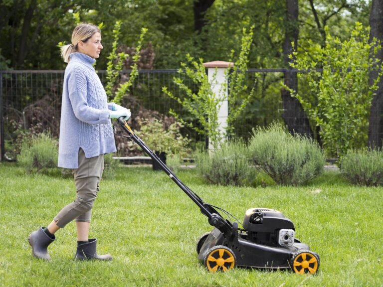 Top 10 Spring Lawn Care Tips for a Lush Green Yard