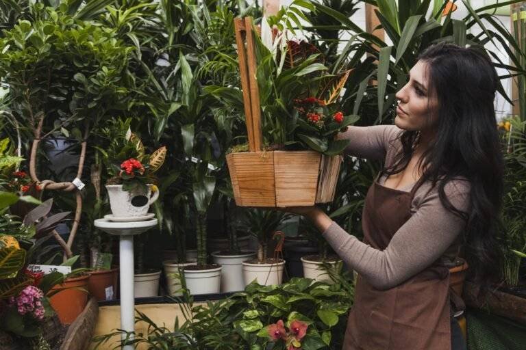 how to start a vegetable garden indoors