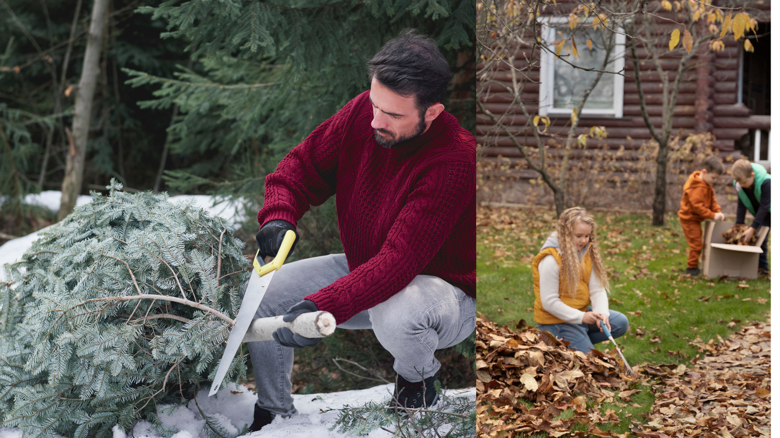 preparing your garden for winter